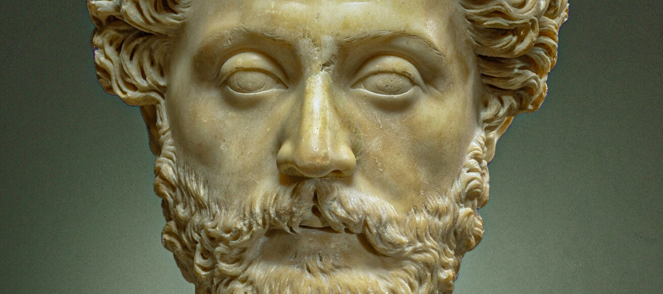 Marcus Aurelius Face