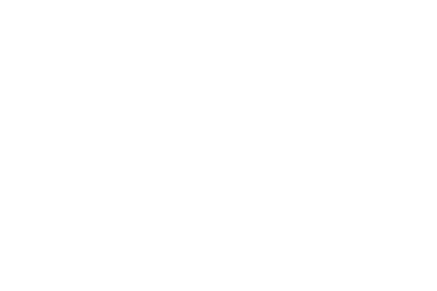 De Stoicijnse School Logo Wit